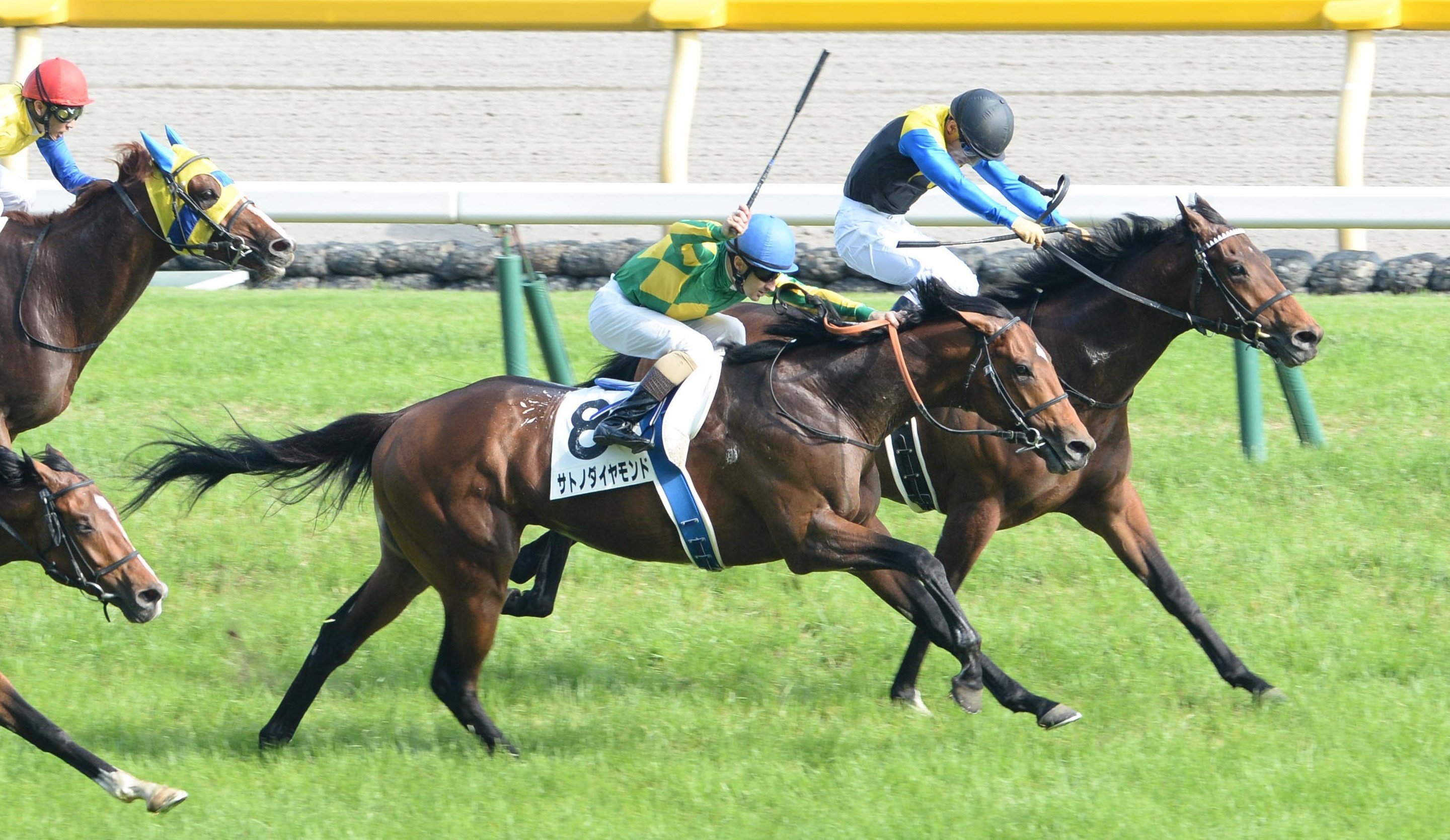 【期限切れ単複馬券】宝塚記念　2016 ドゥラメンテ　ウマ娘 ドゥラメンテに悪夢、故障で凱旋門賞白紙 遅咲きマリアライト11年ぶり