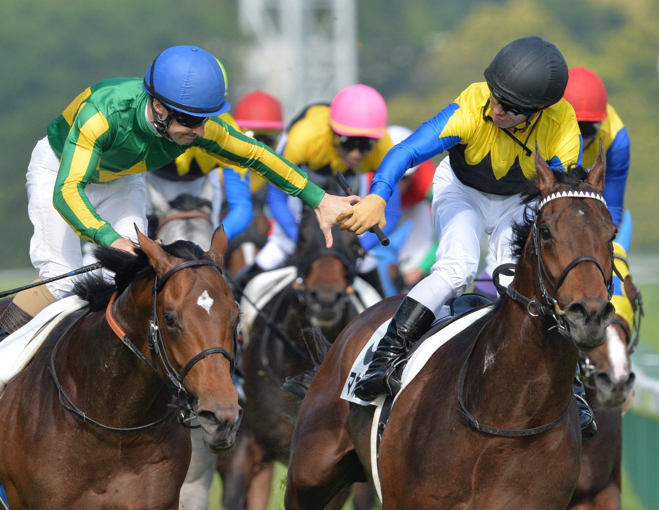 2016年の春競馬！アニメ「ウマ娘」5話の史実を「東スポ」で！｜東