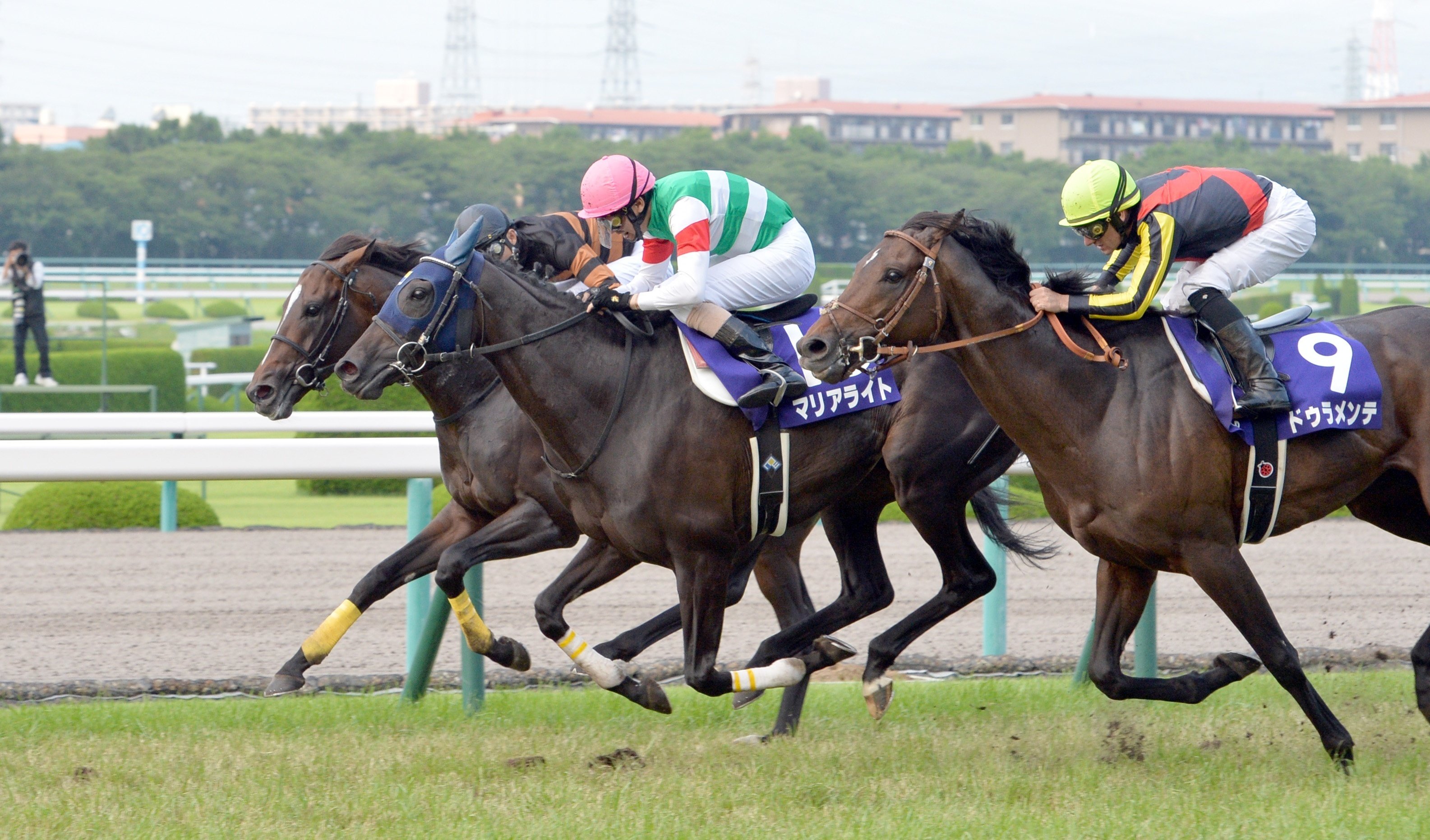 2016年の春競馬！アニメ「ウマ娘」5話の史実を「東スポ」で！｜東