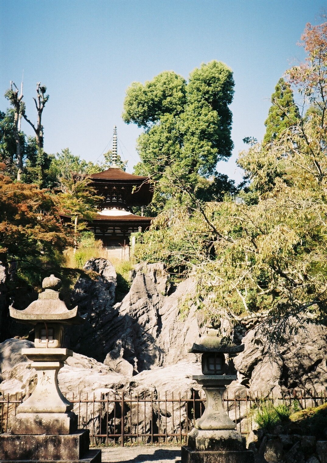 KONICA C35 Flash Maticの撮影見本｜ごん色カメラ