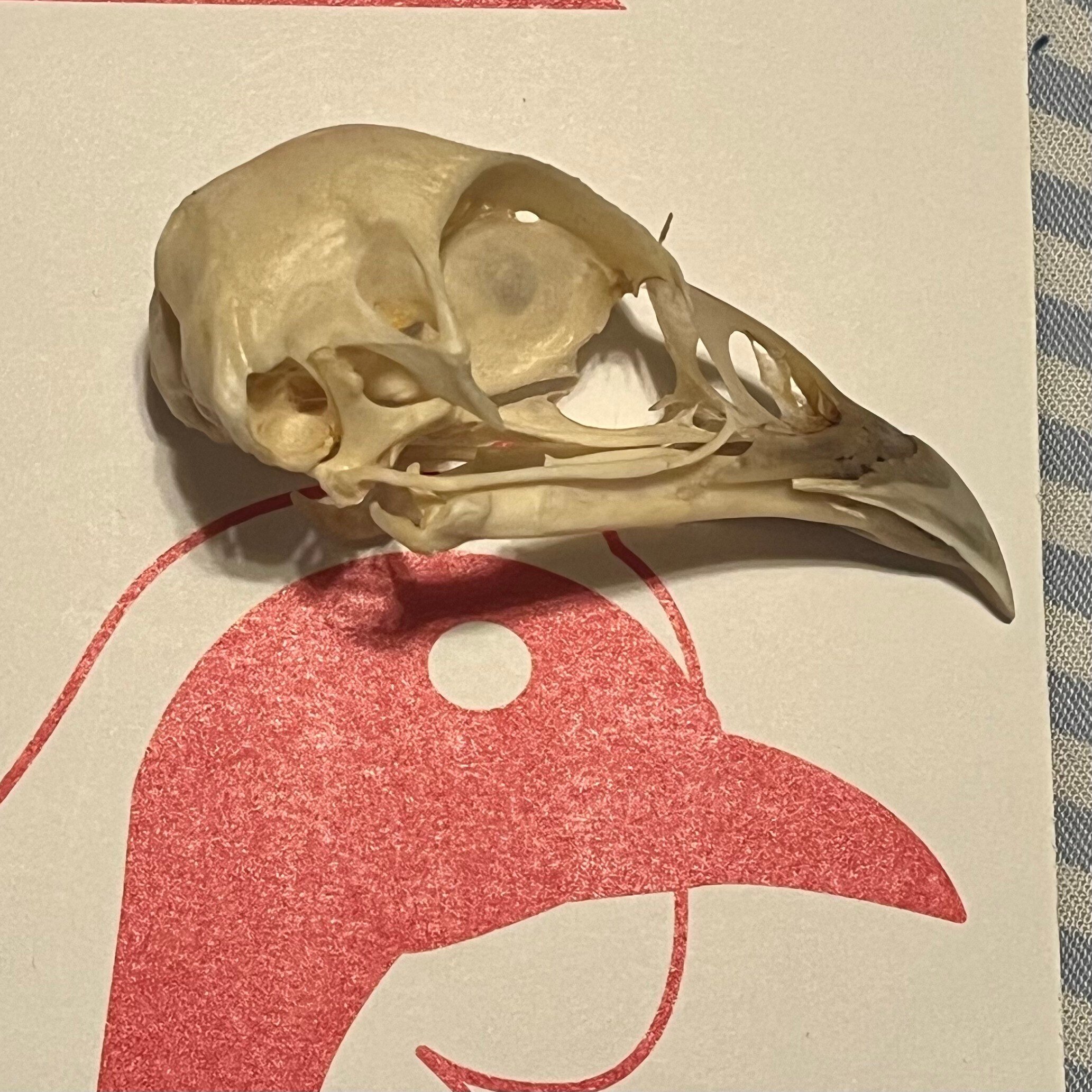 キジ的の遊び方〜38TUNESターゲット｜サンパチ チューンズ (Yuu Miyahara)