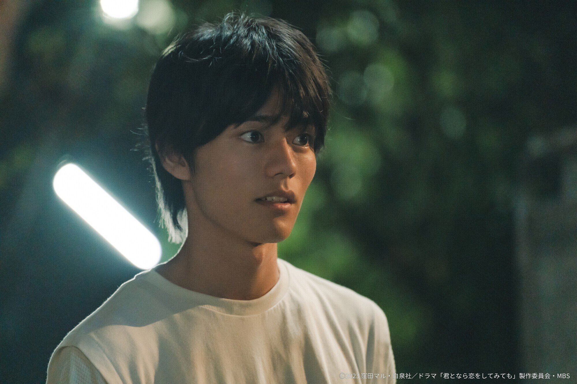 Blu-Ray]ドラマ「君となら恋をしてみても」豪華版Blu-ray・BOX 日向亘