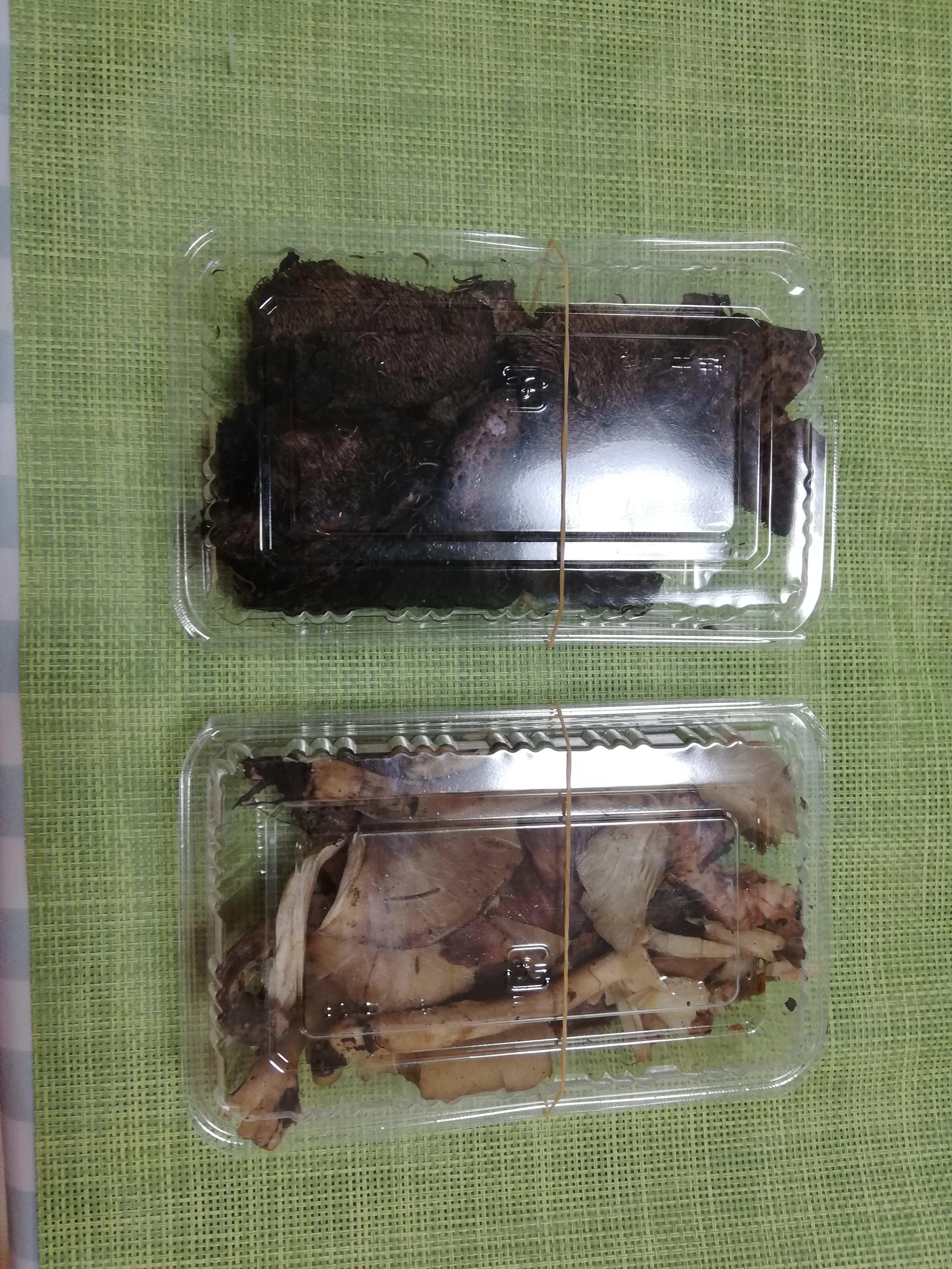 松茸と香茸 黒猫さま 専用 【公式通販】 松茸と香茸 黒猫さま 専用 【公式通販】