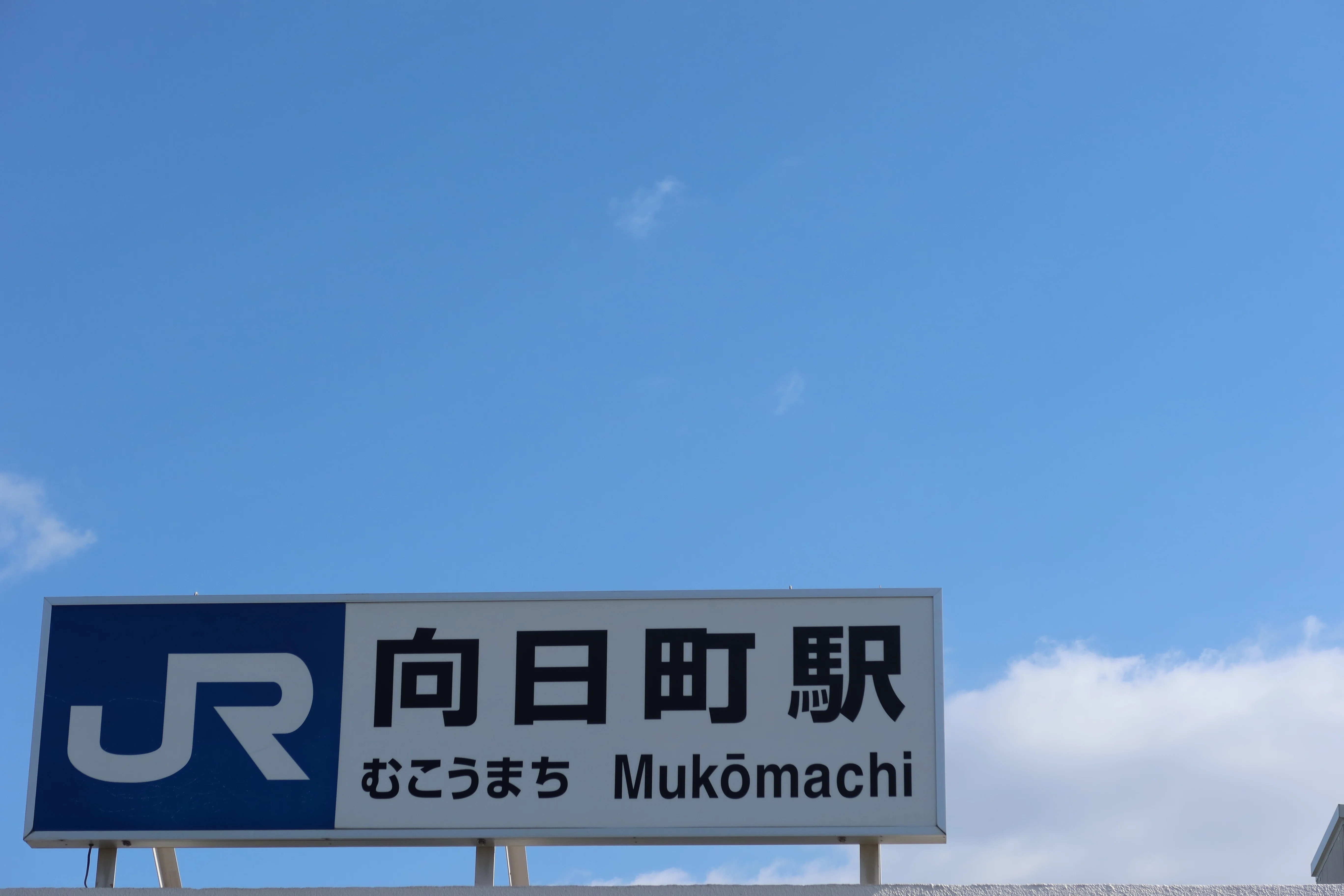 西国三十三所観音巡礼 【西山 善峯寺】京都｜kumokichi