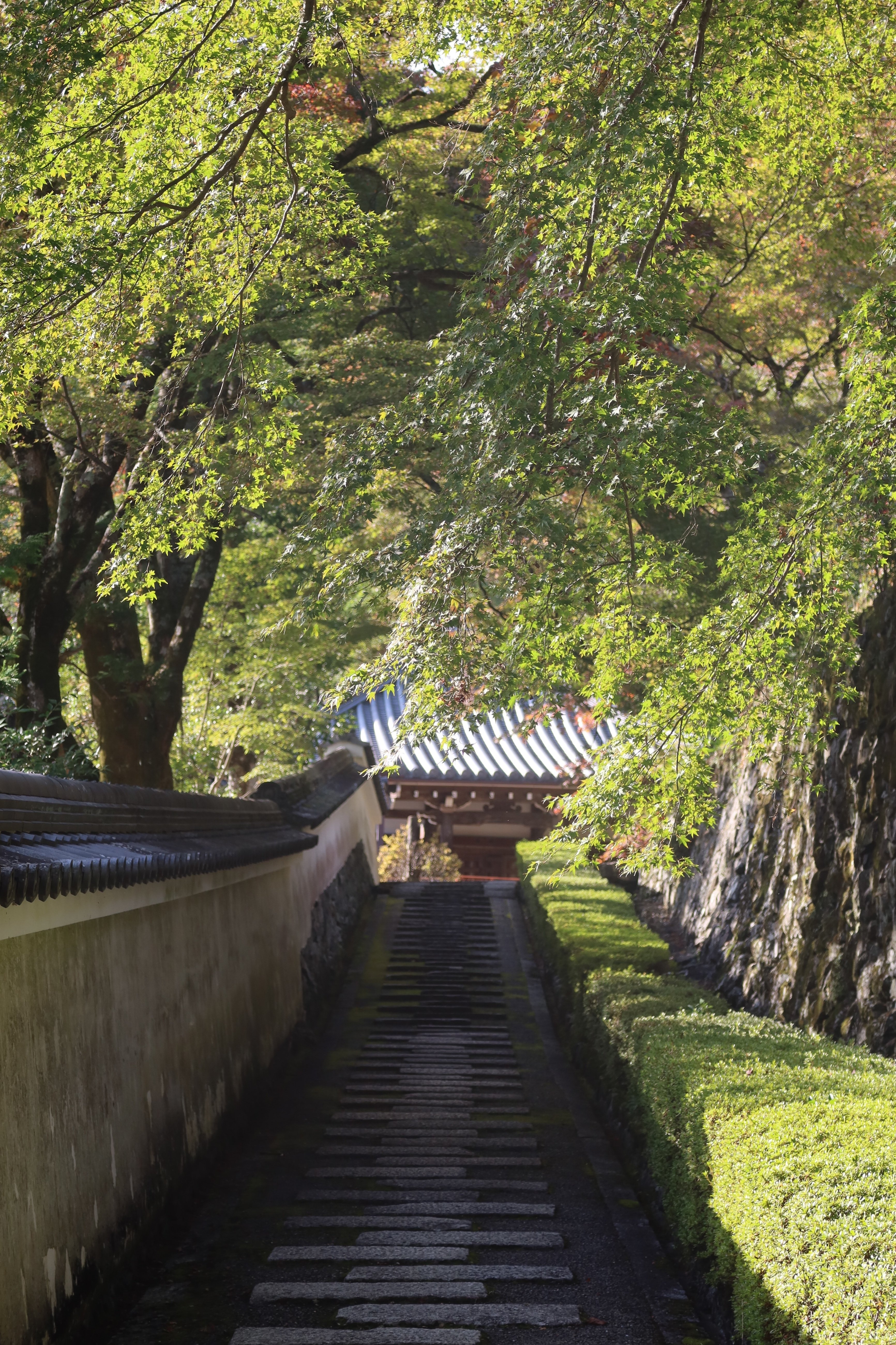 西国三十三所観音巡礼 【西山 善峯寺】京都｜kumokichi