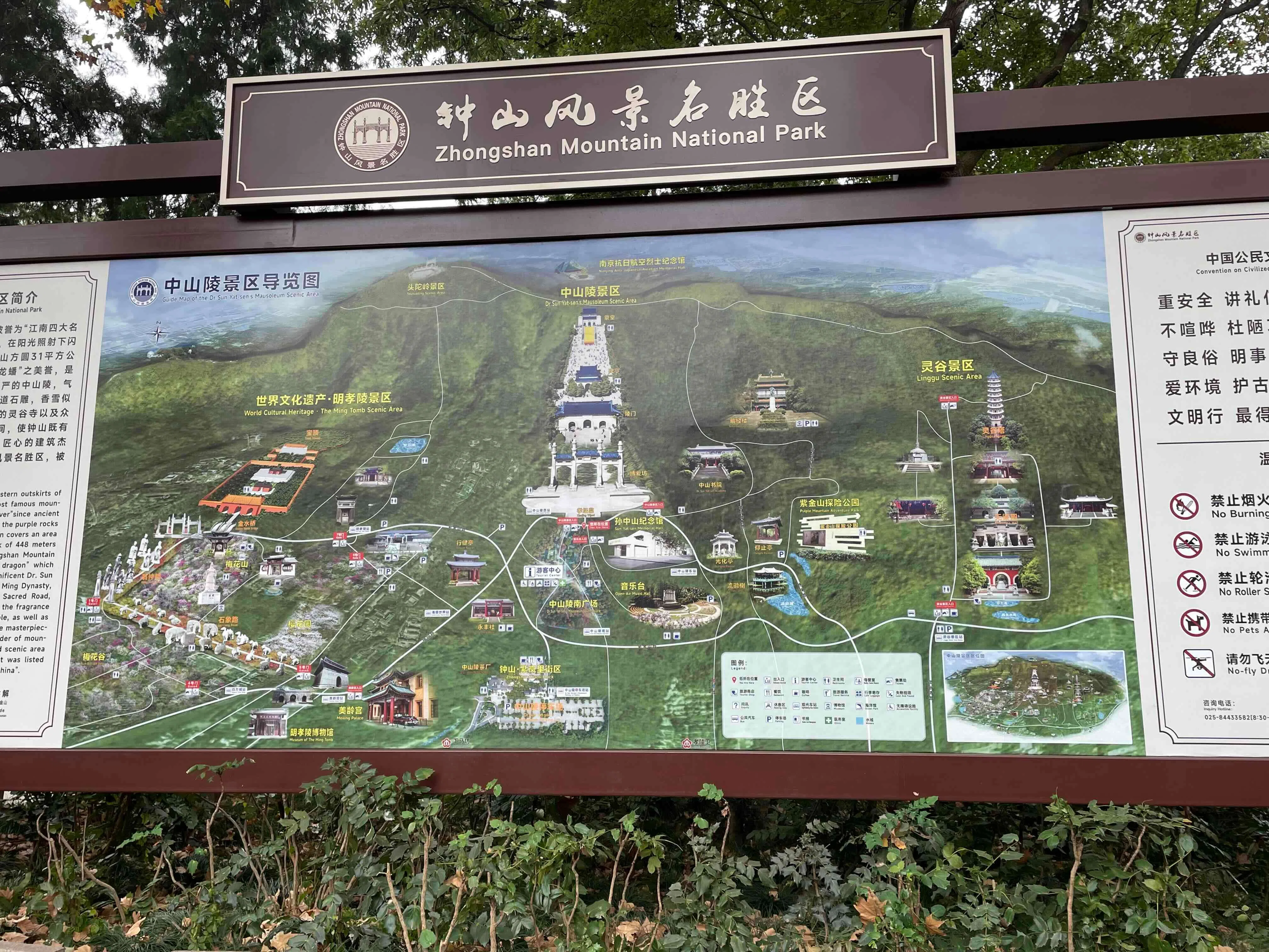 2023秋・中国編】南京にて｜どんぐりころころ