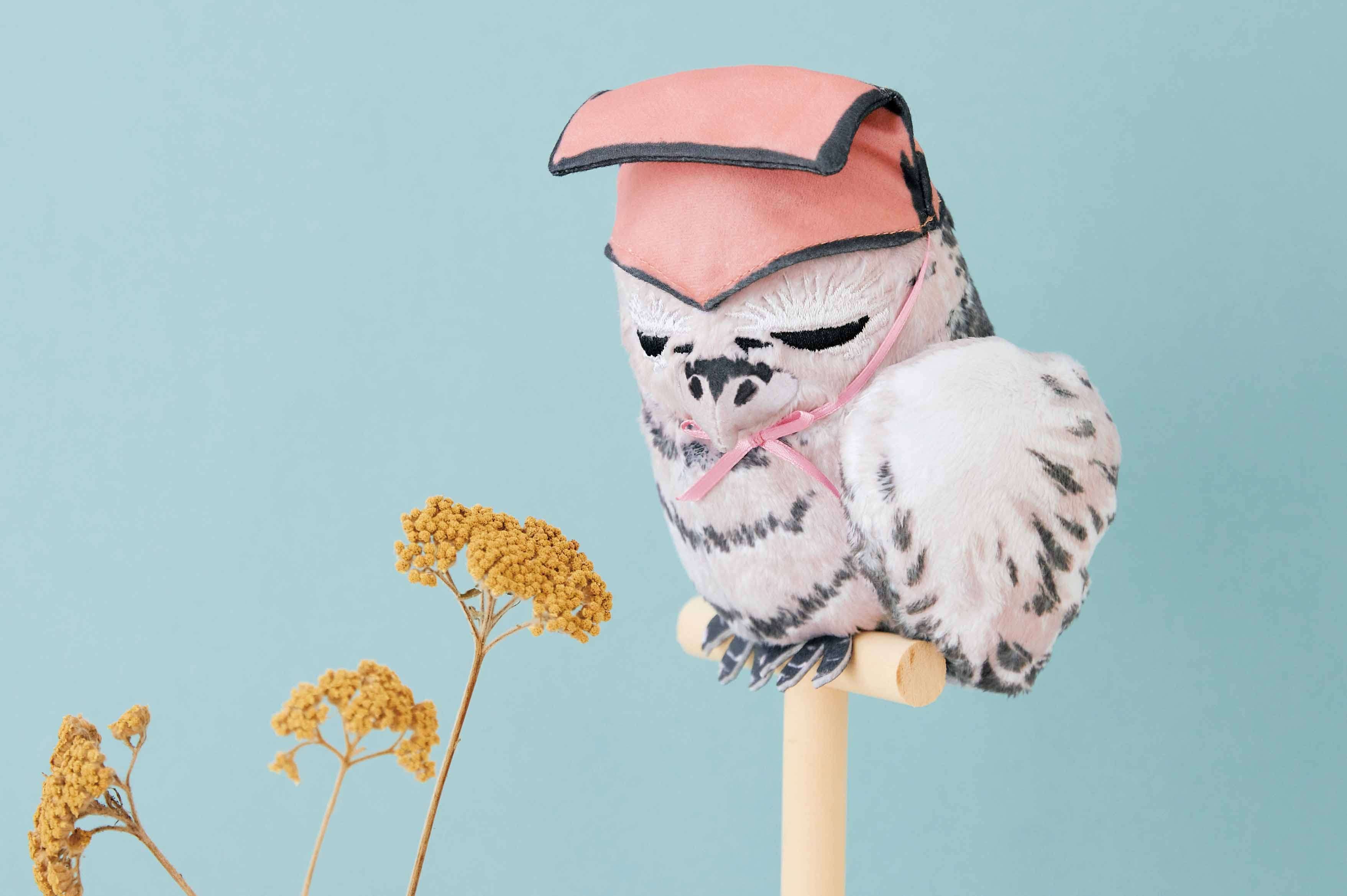 フクロウ好き必見！バイオリンひきのフクロウのアレブリヘ（送料
