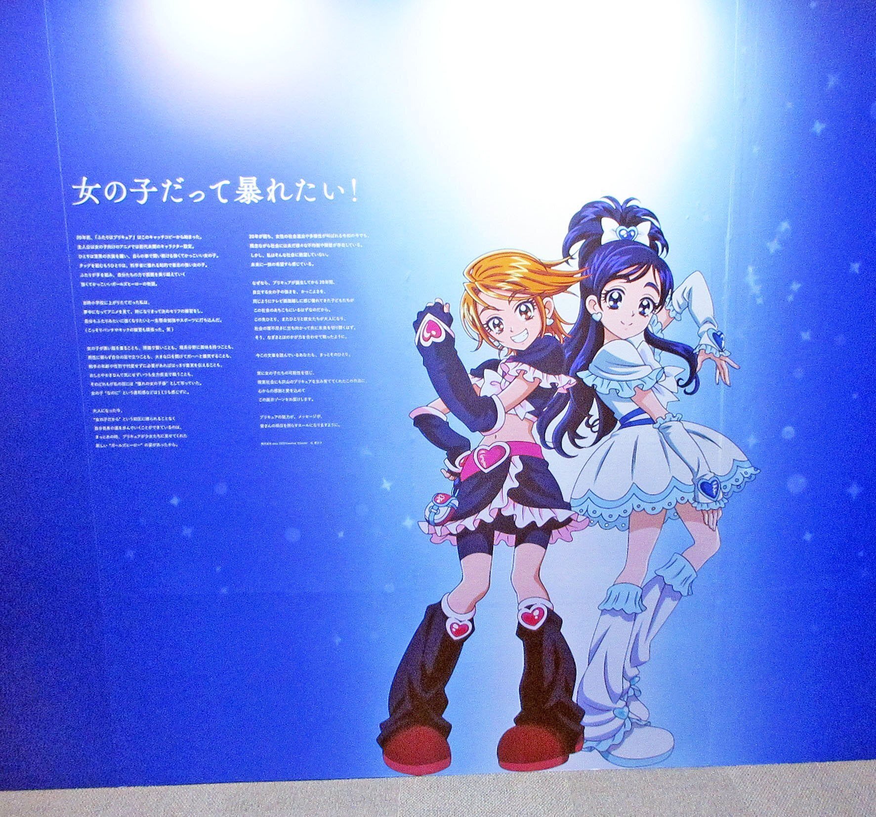 2000年代のプリキュアを振り返る―「新機軸」から「定番」への道：「全