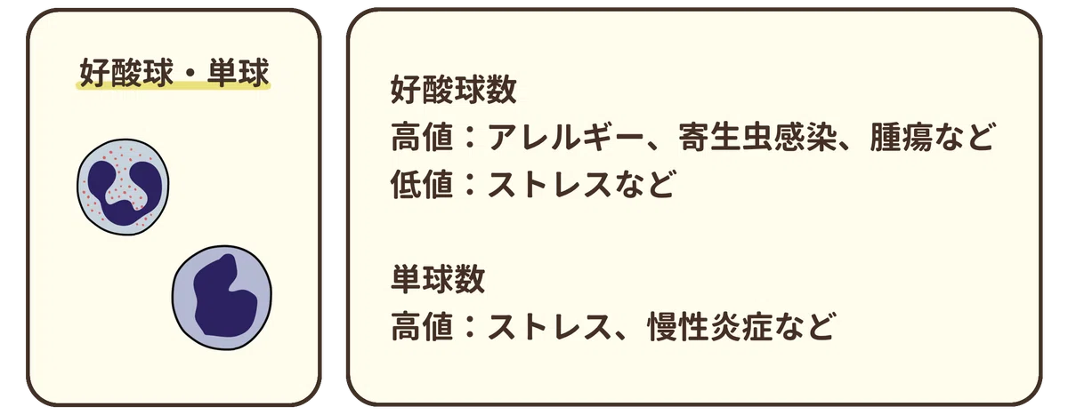 What happens during a health checkup? ② [Complete Blood Count (CBC)]｜さわ ...
