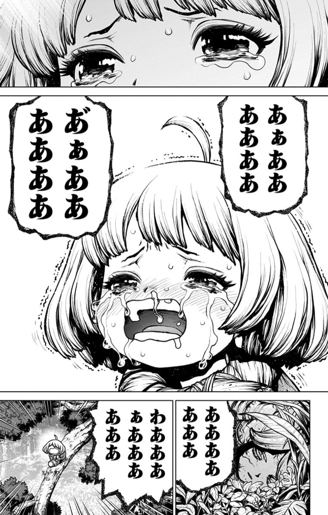 Dr.stone ドクターストーン漫画 26巻➕白夜 Dr. Stone 全26巻+百