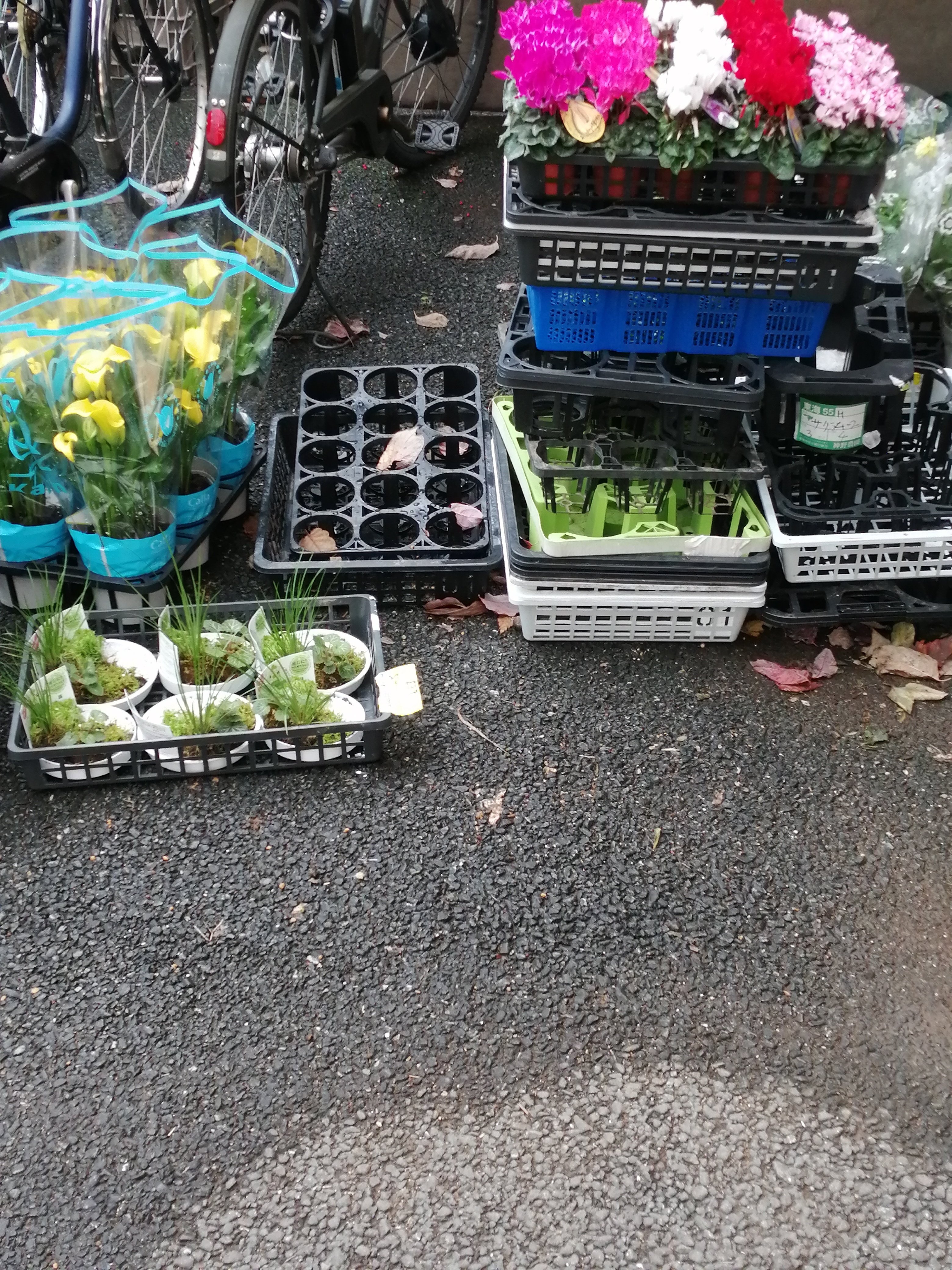 一束440円（現在550円）】素敵な花束が手軽に購入できるお花問屋の直売