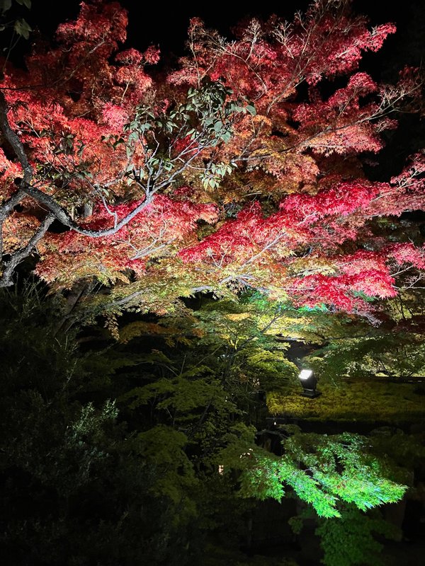 瑞巌寺の紅葉