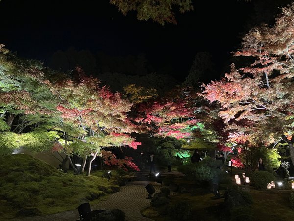円通院の紅葉