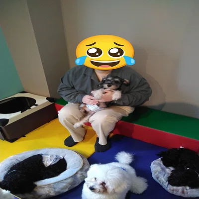 Dog Cafe Florence (ドッグカフェ フローレンス)20231105｜とぉ～く