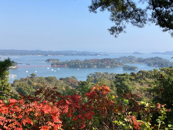 松島らしい景色