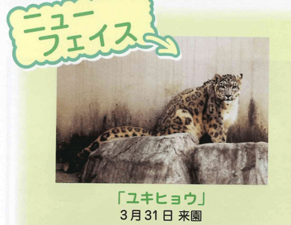 ririka様 ユキヒョウ 全長214cm 国際希少野生動植物種登録票付 ririka様 ユキヒョウ 全長214cm 国際希少野生動植物種登録票