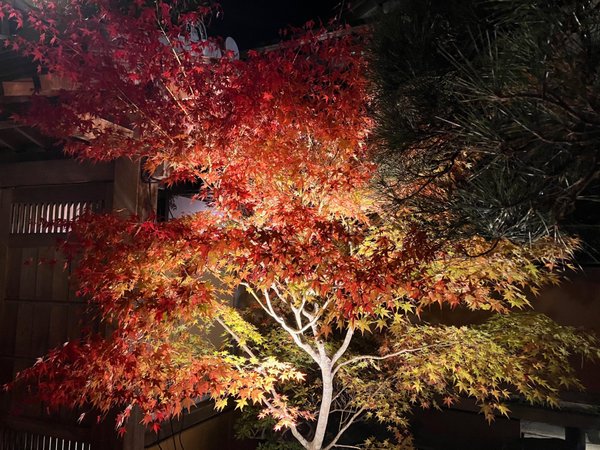 円通院の紅葉