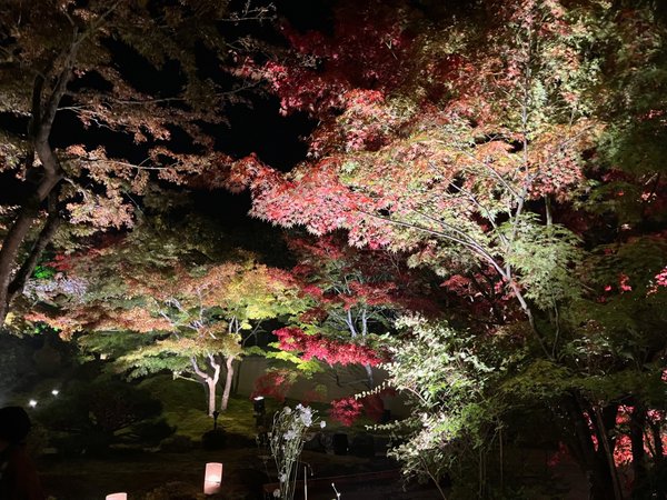 円通院の紅葉