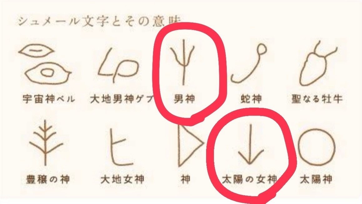 縄文人誕生の秘密に迫る岩に刻まれしペトログリフが未来に