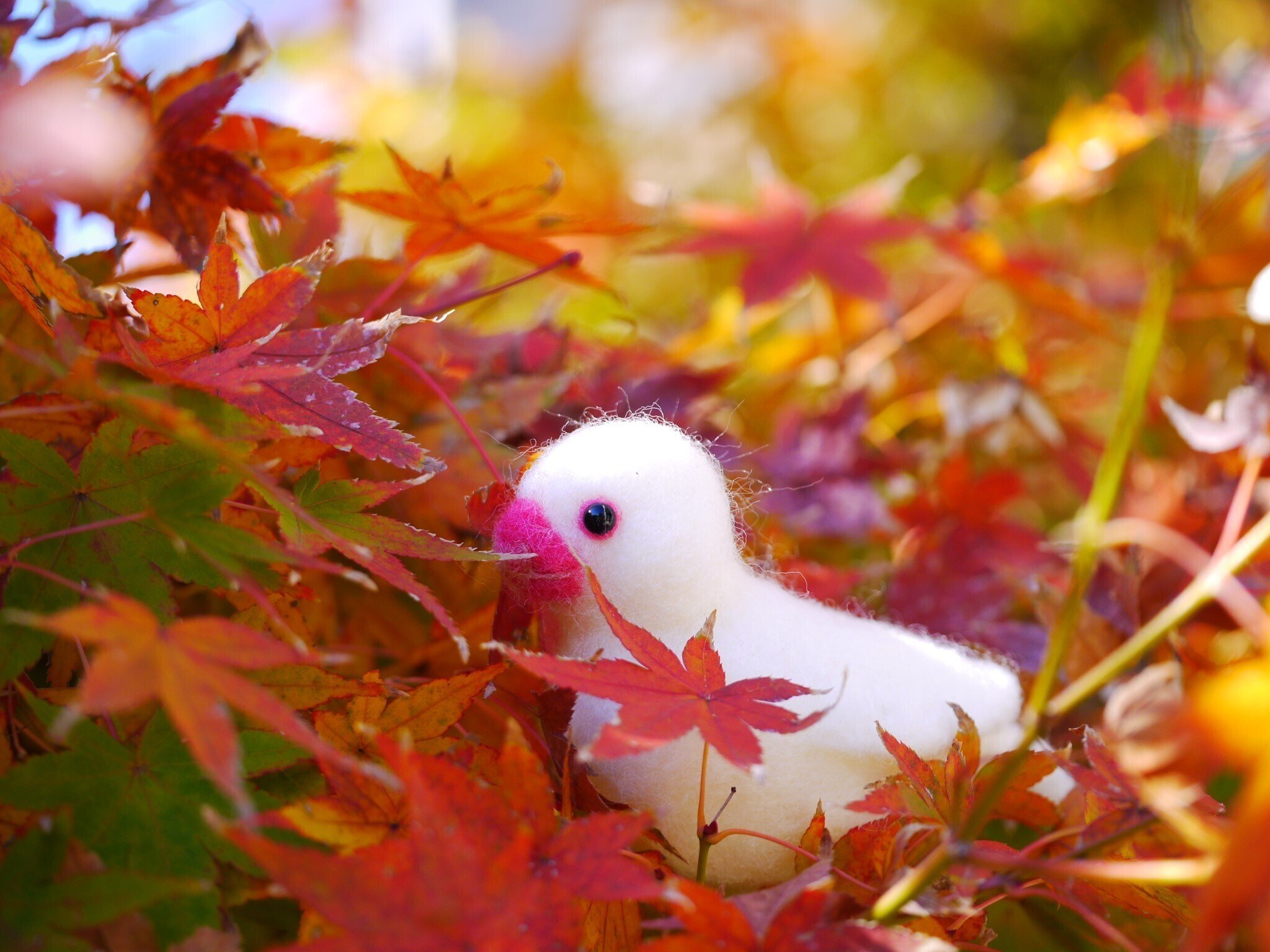 ニードルフェルト 白文鳥と桜文鳥｜sion