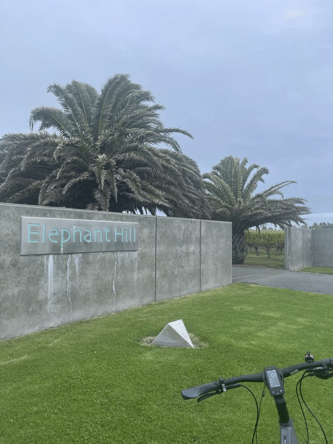 ワイナリー訪問記🍷Newzealand編13：エレファント・ヒル Elephant Hill （ホークス・ベイ）｜Akko_winelover