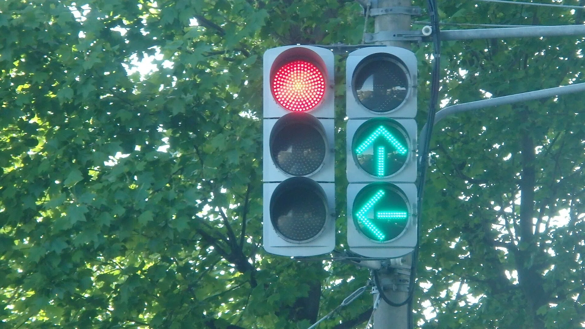 川口-356】川口市安行領根岸にある京三VAC型LED・日信厚型LED＋信号