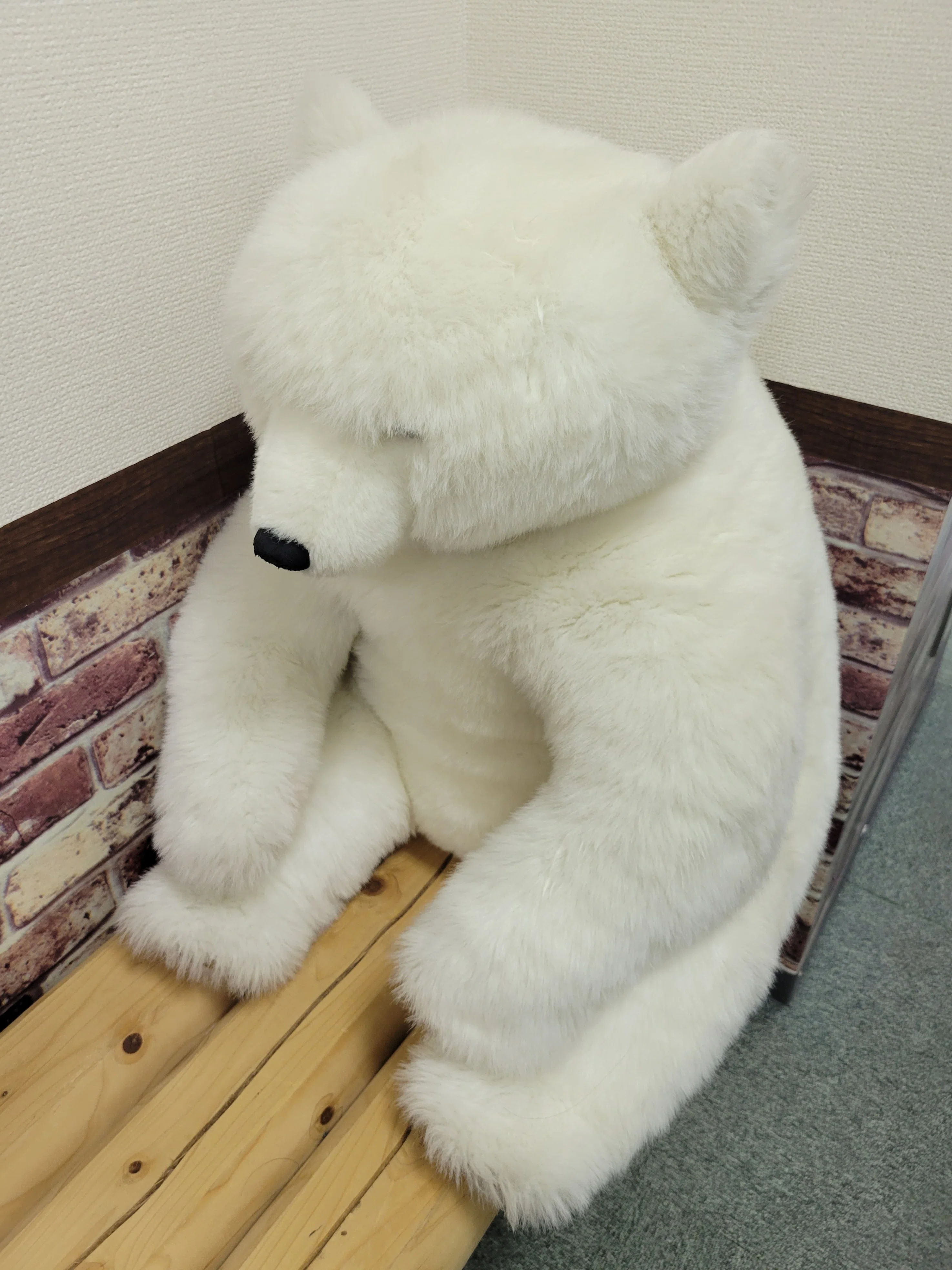 シロクマくん発見！！！🧸🌍️✨｜Yukihiro🧸