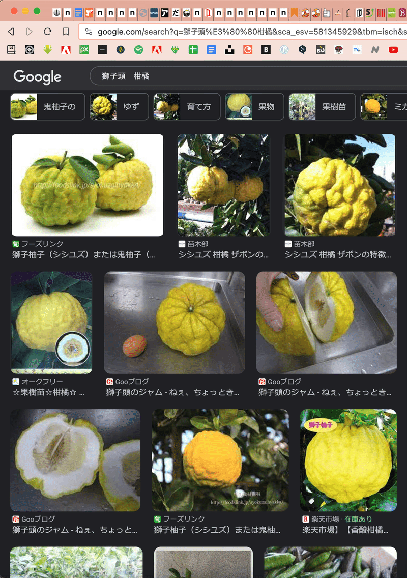 獅子柚子または鬼柚子と呼ばれる柑橘類の実の写真