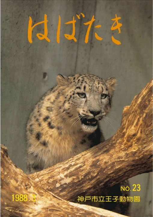 ririka様 ユキヒョウ 全長214cm 国際希少野生動植物種登録票付 rika on X