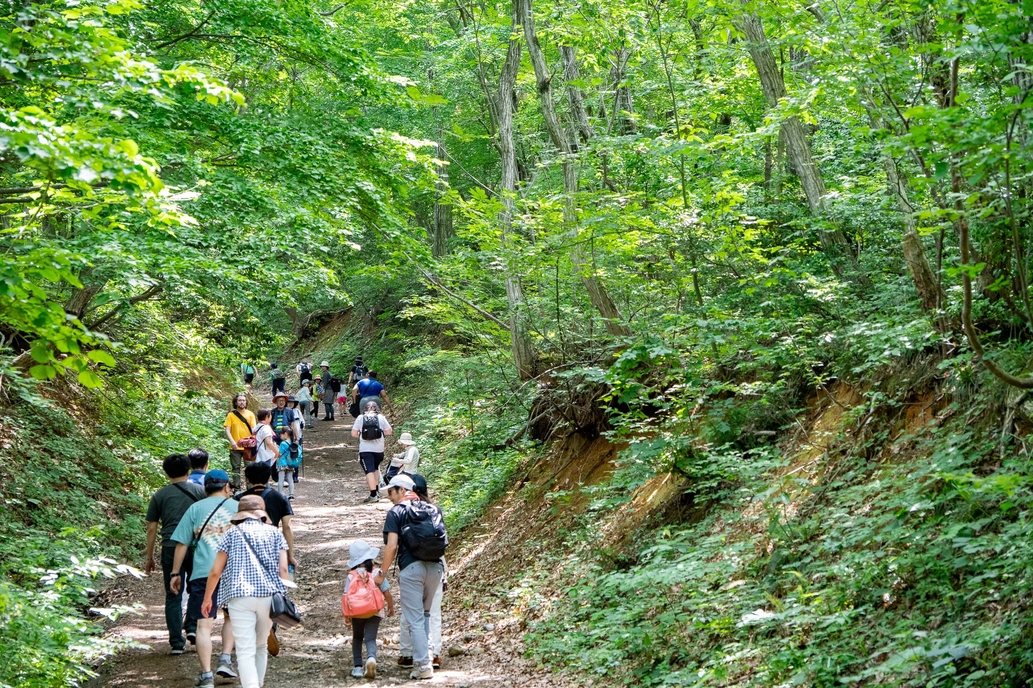 まちの山が「インクに採用される」くらい綺麗なのでご紹介します｜新潟