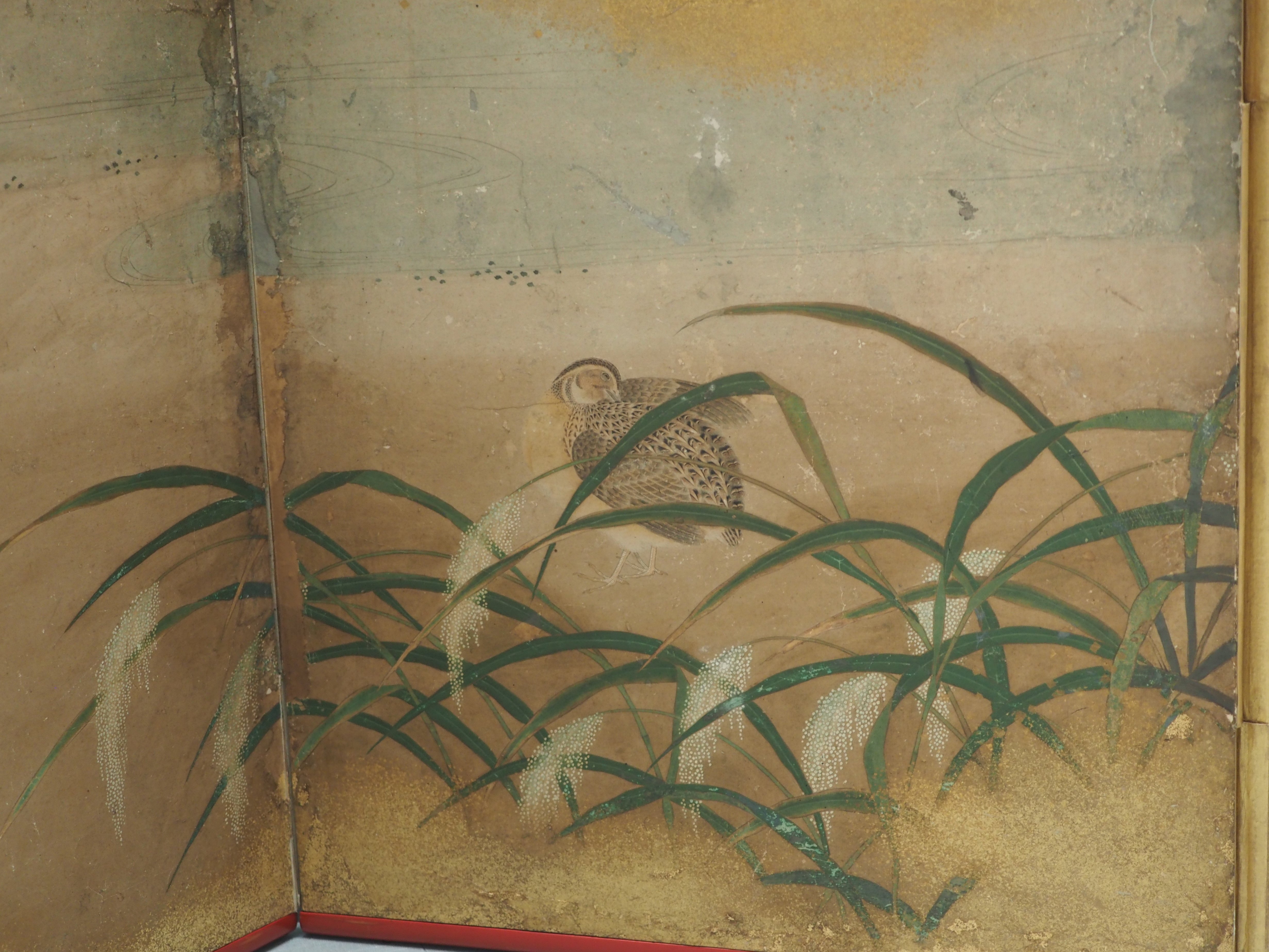 土佐光起の技｜かわかわ