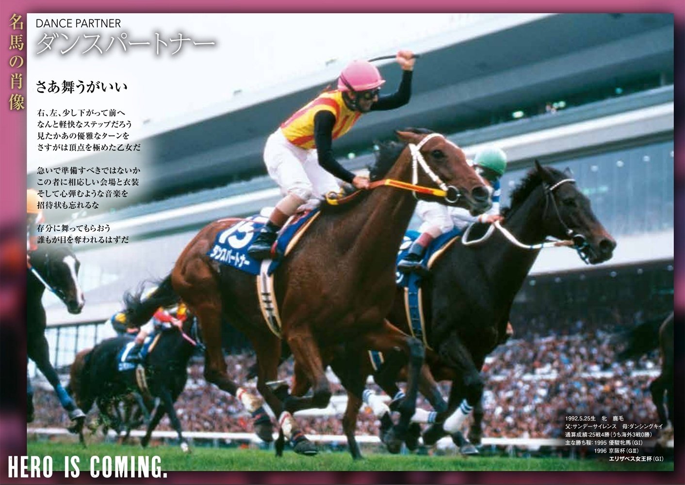 消費税無し 競馬写真【ダンスパートナー】エリザベス女王杯 巡り合わ コレクション