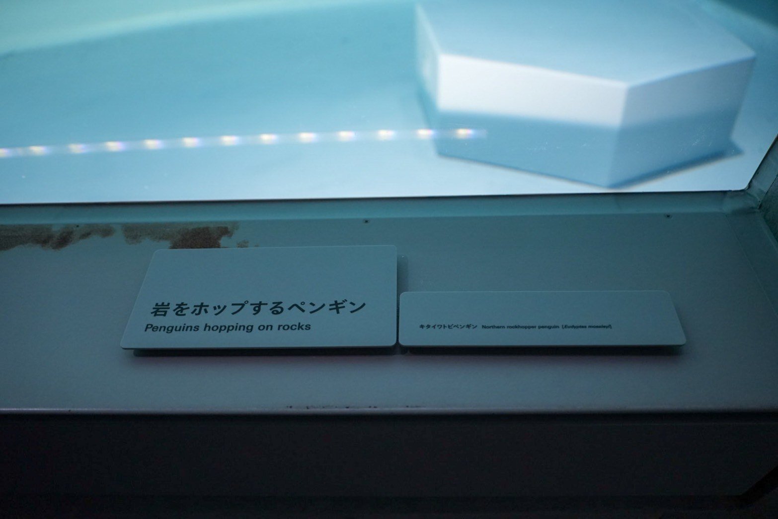 レポ#57 AOAO SAPPORO｜haru