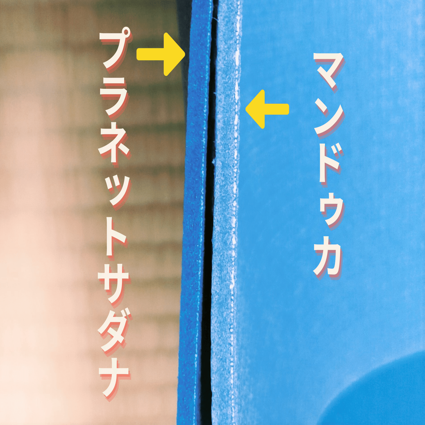 ヨガマット選びで迷ったらこれ！プラネットサダナとマンドゥカの違いを