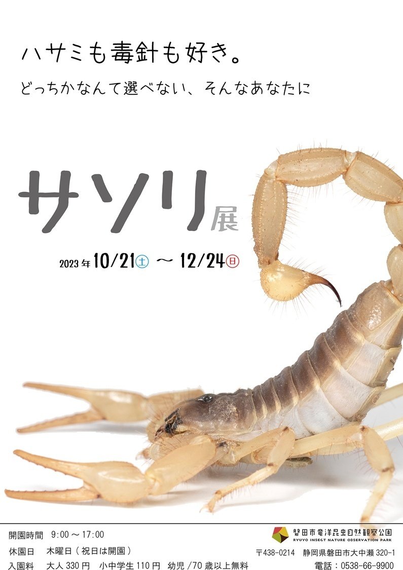 日本のサソリ｜竜洋昆虫自然観察公園