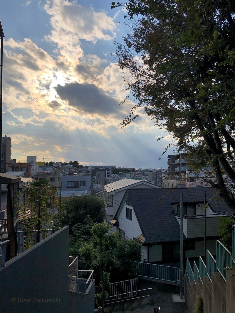 横浜市の坂の上からの夕日です。