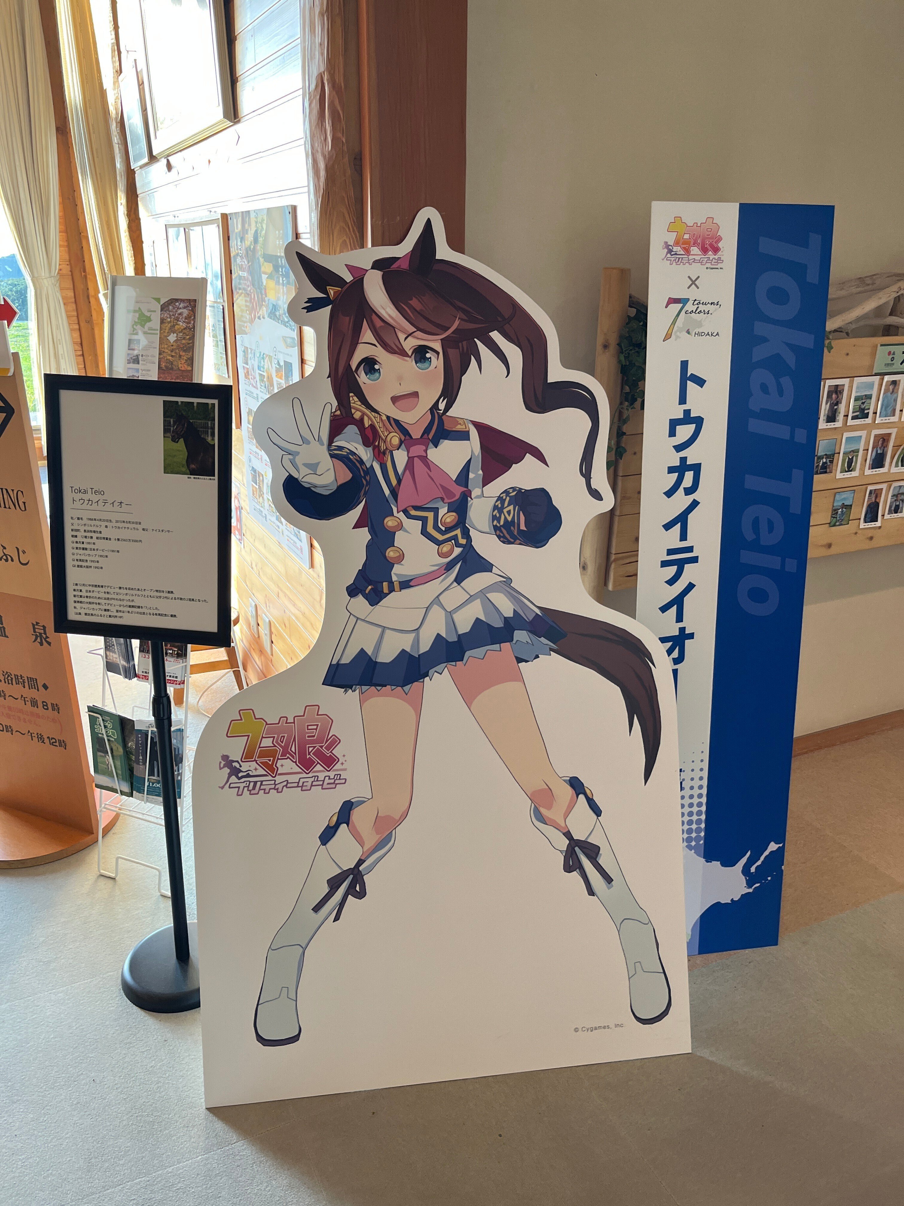 トウカイテイオー　有馬記念優勝パネル 日刊スポーツ 第38回有馬記念 トウカイテイオー 写真パネル