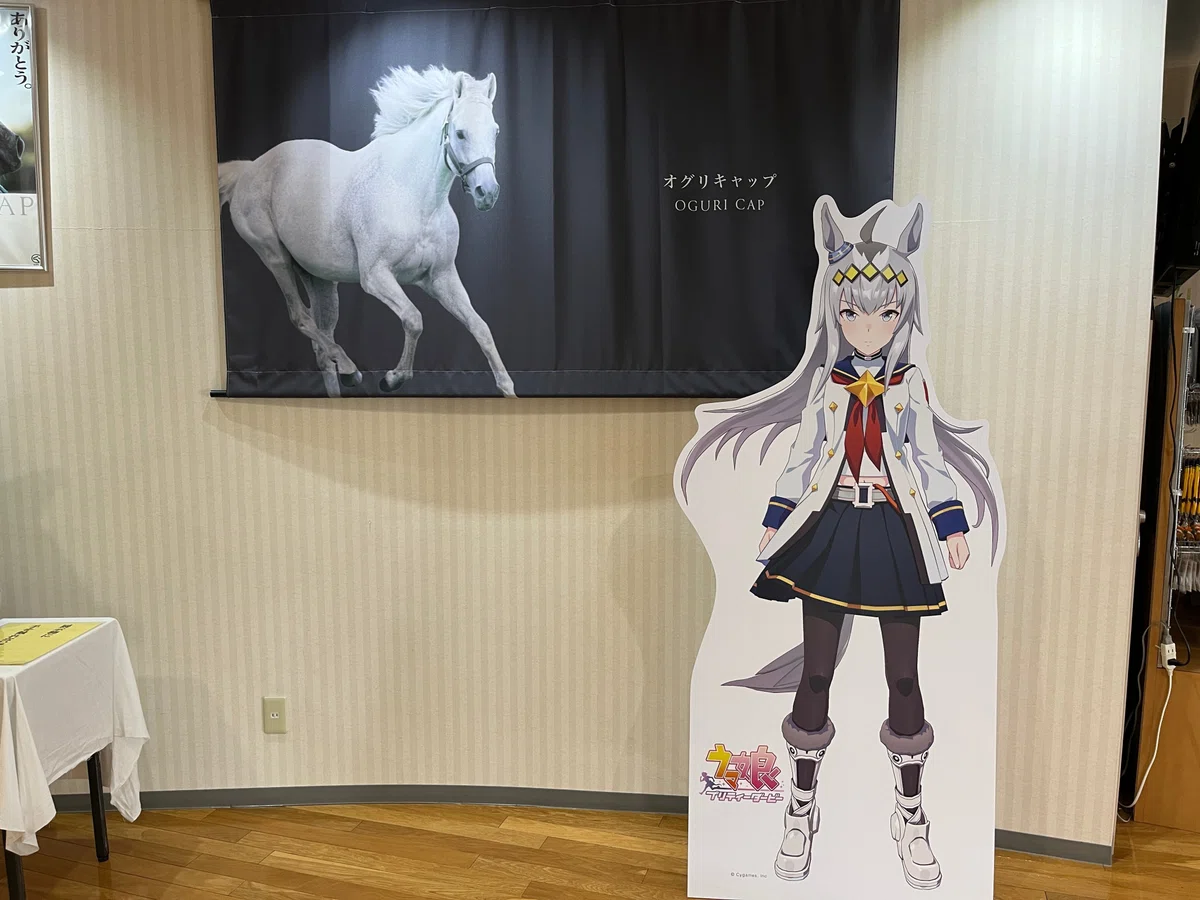 ひだかのウマ娘パネル新旧まとめ｜にゃー会長