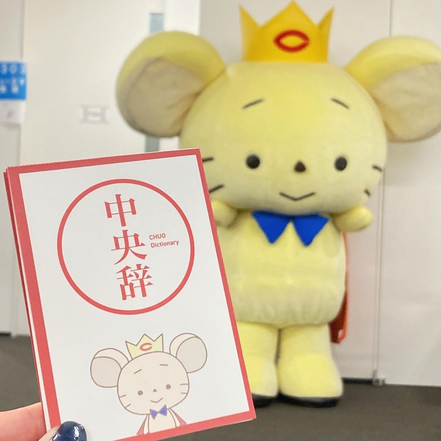 中央大学マスコットキャラクター　 「チュー王子」　特大ぬいぐるみ 希少品50cm 中央大学マスコットキャラクター 「チュー王子」 特大ぬいぐるみ 希少