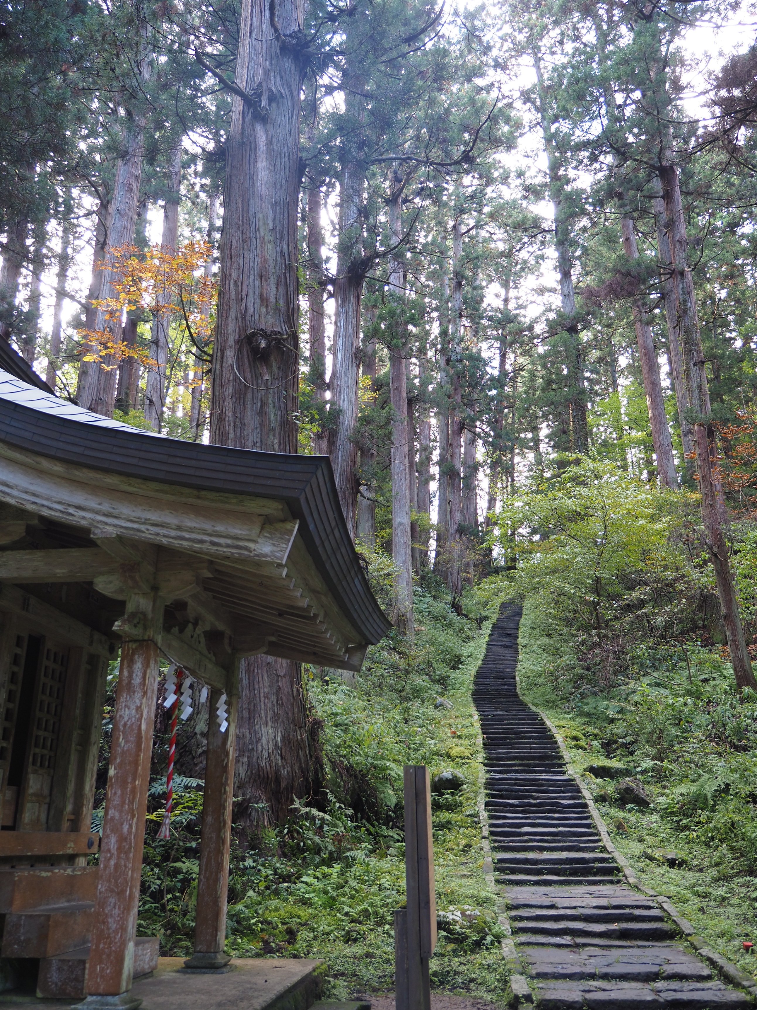 修験の出羽三山にみた、原始宗教の迫力｜藤井満