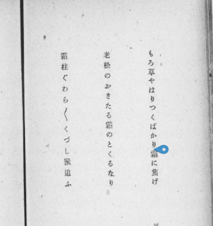 楽天ブックス: 芥川竜之介俳句集 - 芥川龍之介 - 9784003600177 : 本