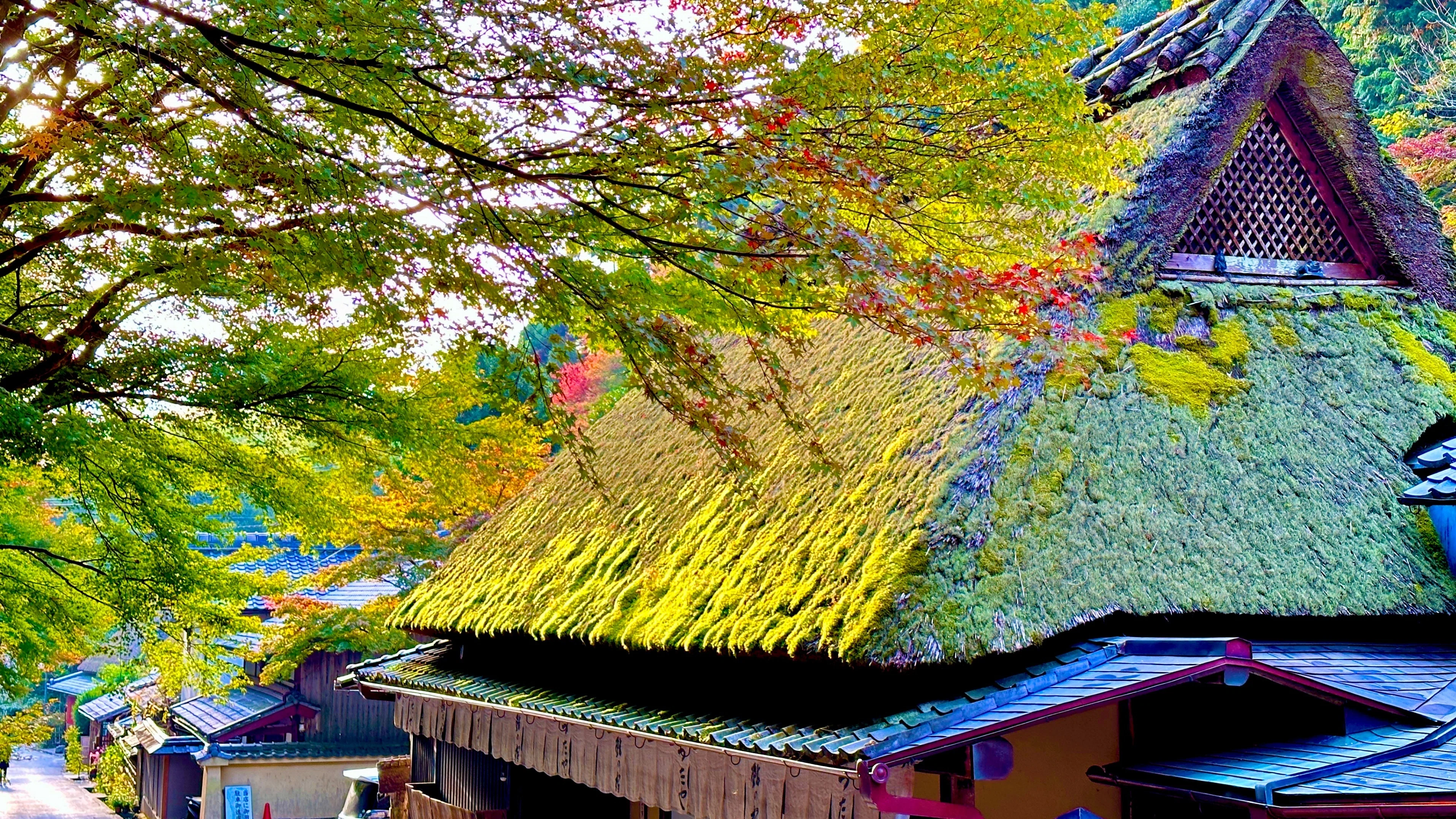京都時間.jp】第6回 嵯峨鳥居本: 京都の古き良き風情をたどる