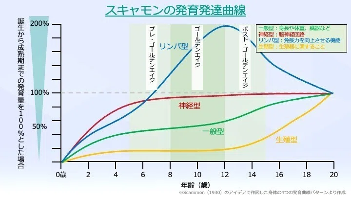 子どもの運動機能発達においてポイントとなる時期とは?(第2弾)|からだサポート