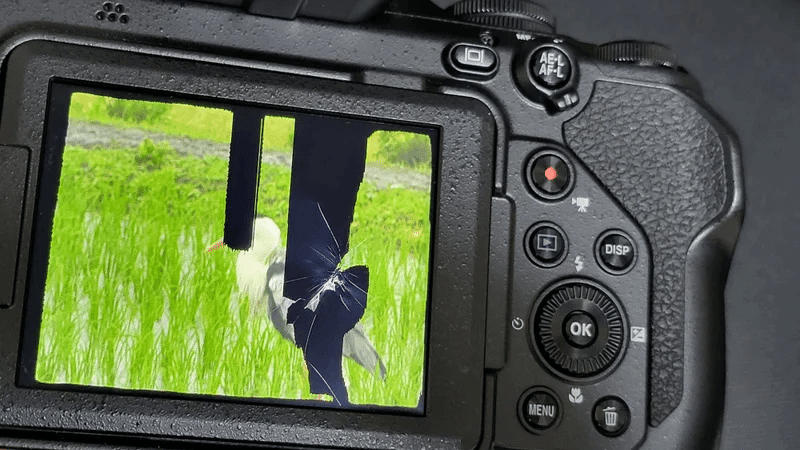 Nikon ニコン COOLPIX P1000 液晶不良 撮影可能 Nikon ニコン COOLPIX P1000 液晶不良 撮影可能