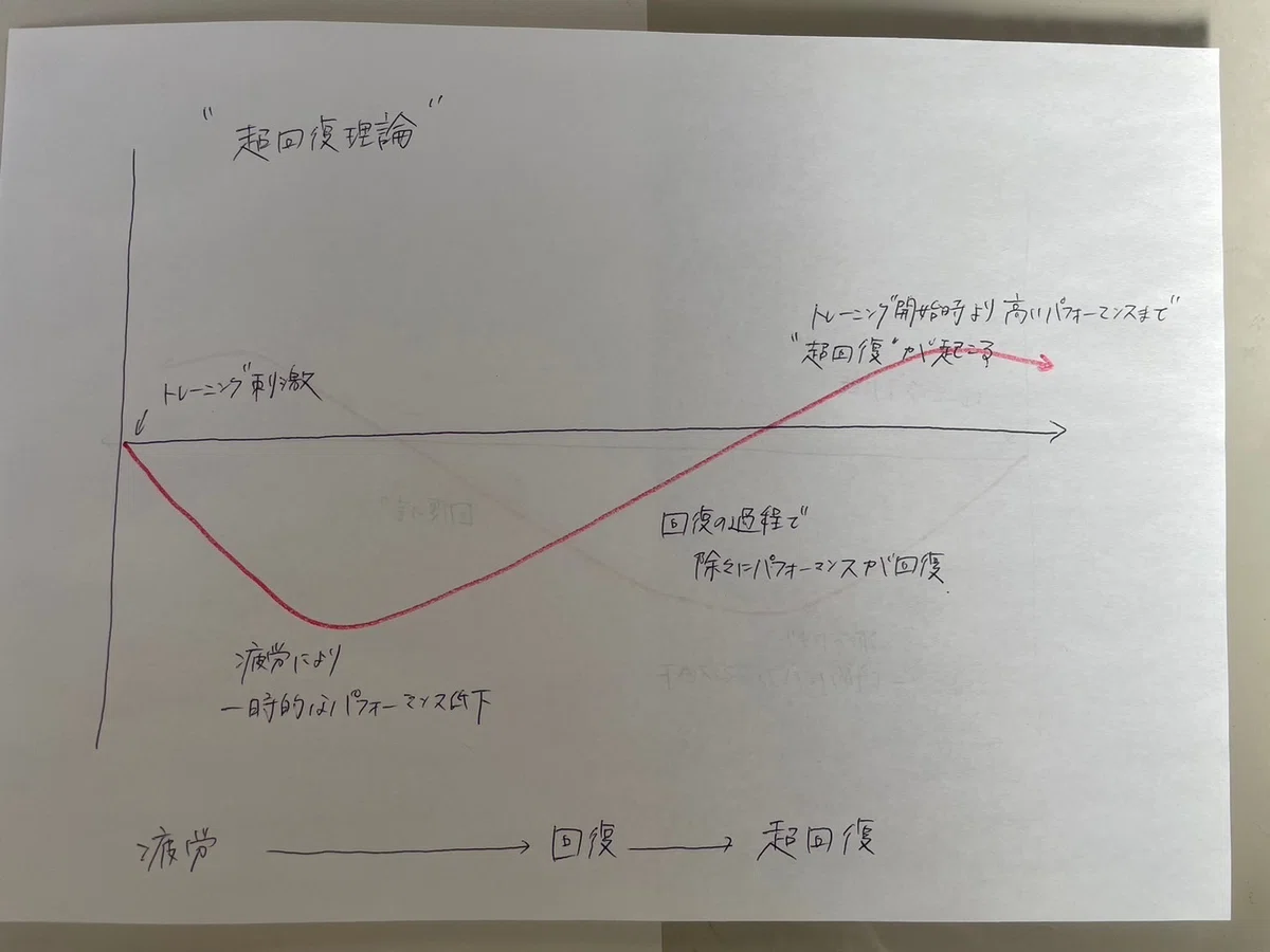 [#9] Fatigue, Performance, and Recovery｜福田崚平＠ストレングスコーチ|NSCA-CSCS