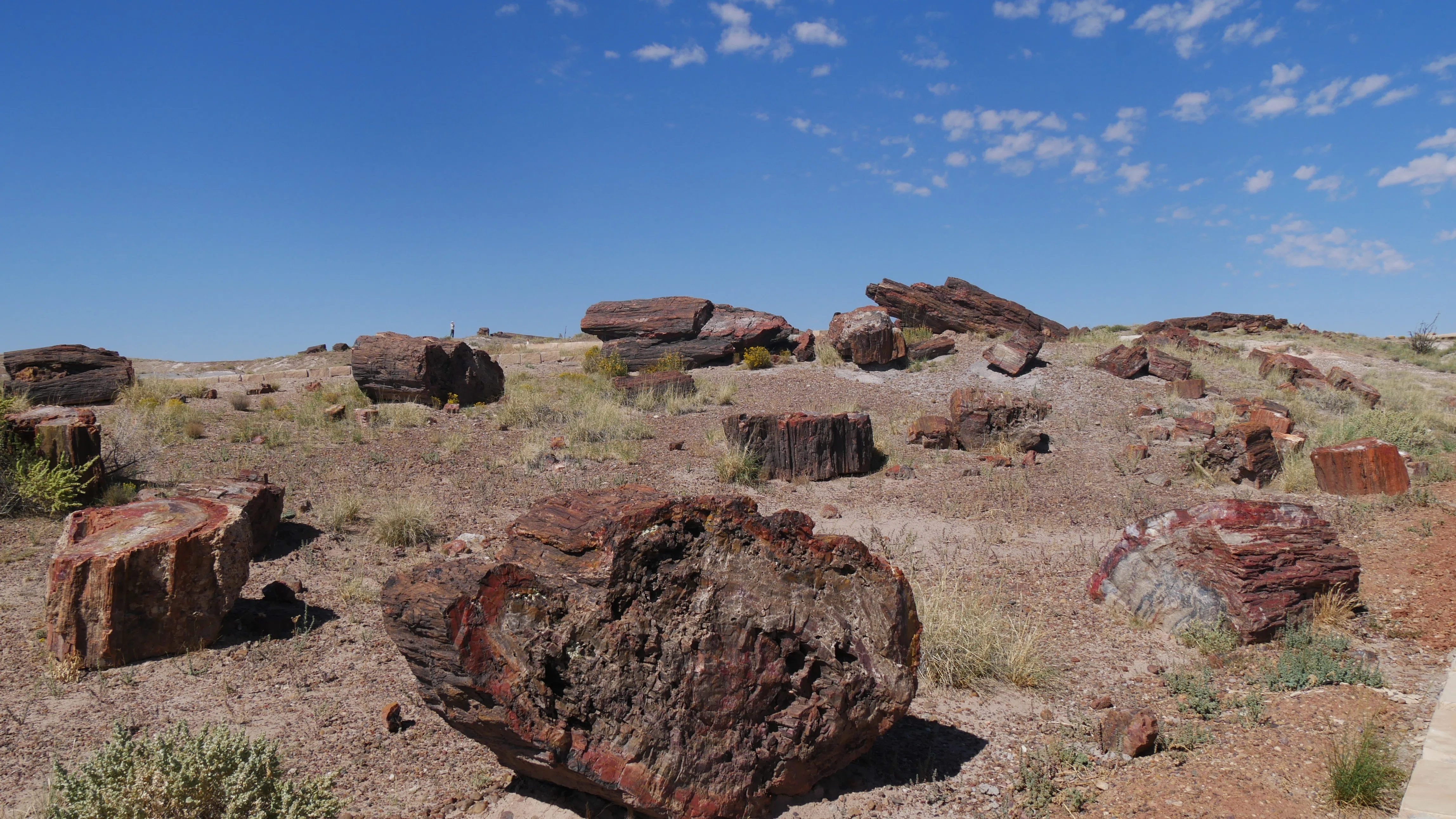 化石の森国立公園（Petrified Forest National Park） / アリゾナ vol