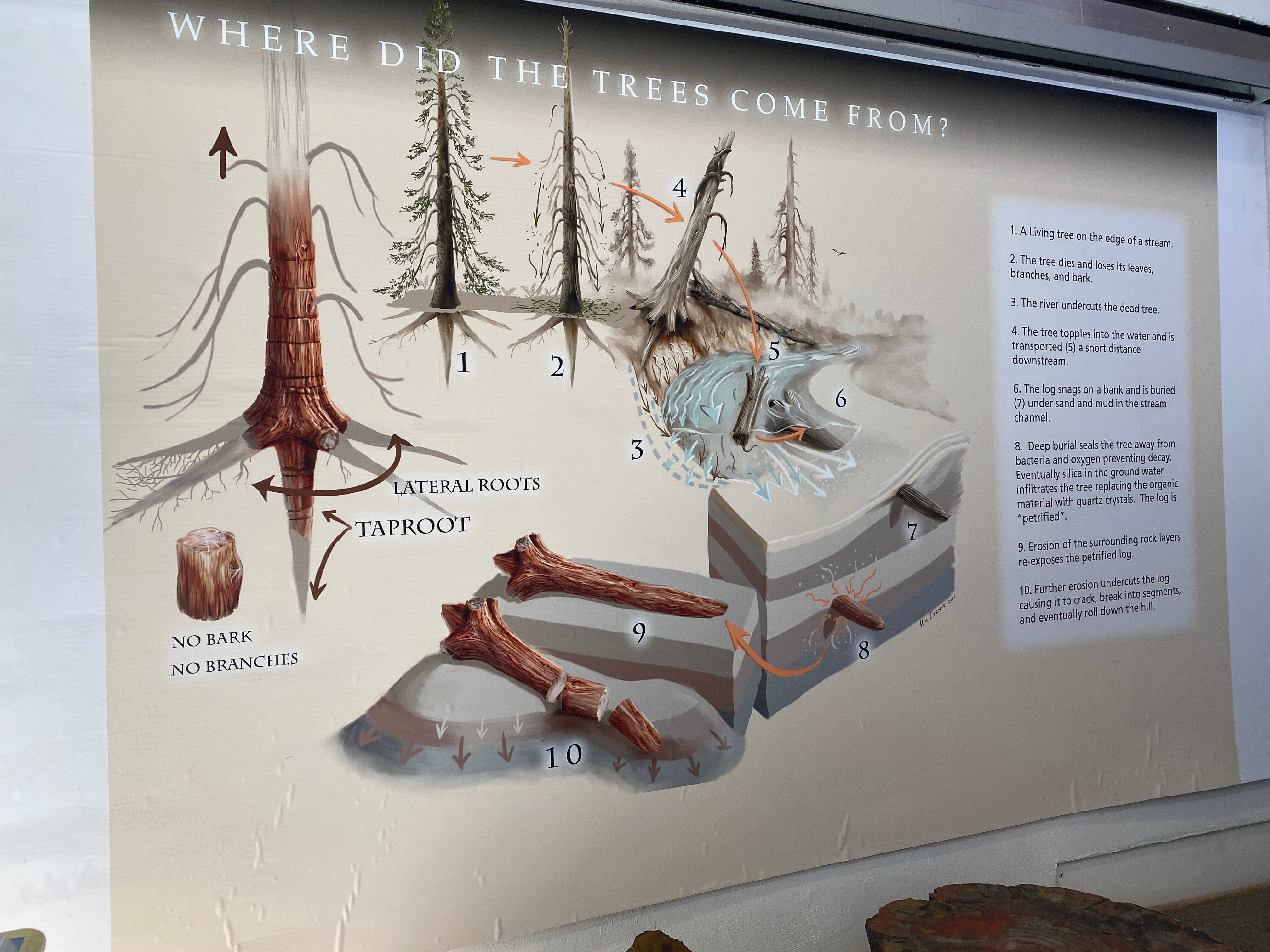 化石の森国立公園（Petrified Forest National Park） / アリゾナ vol