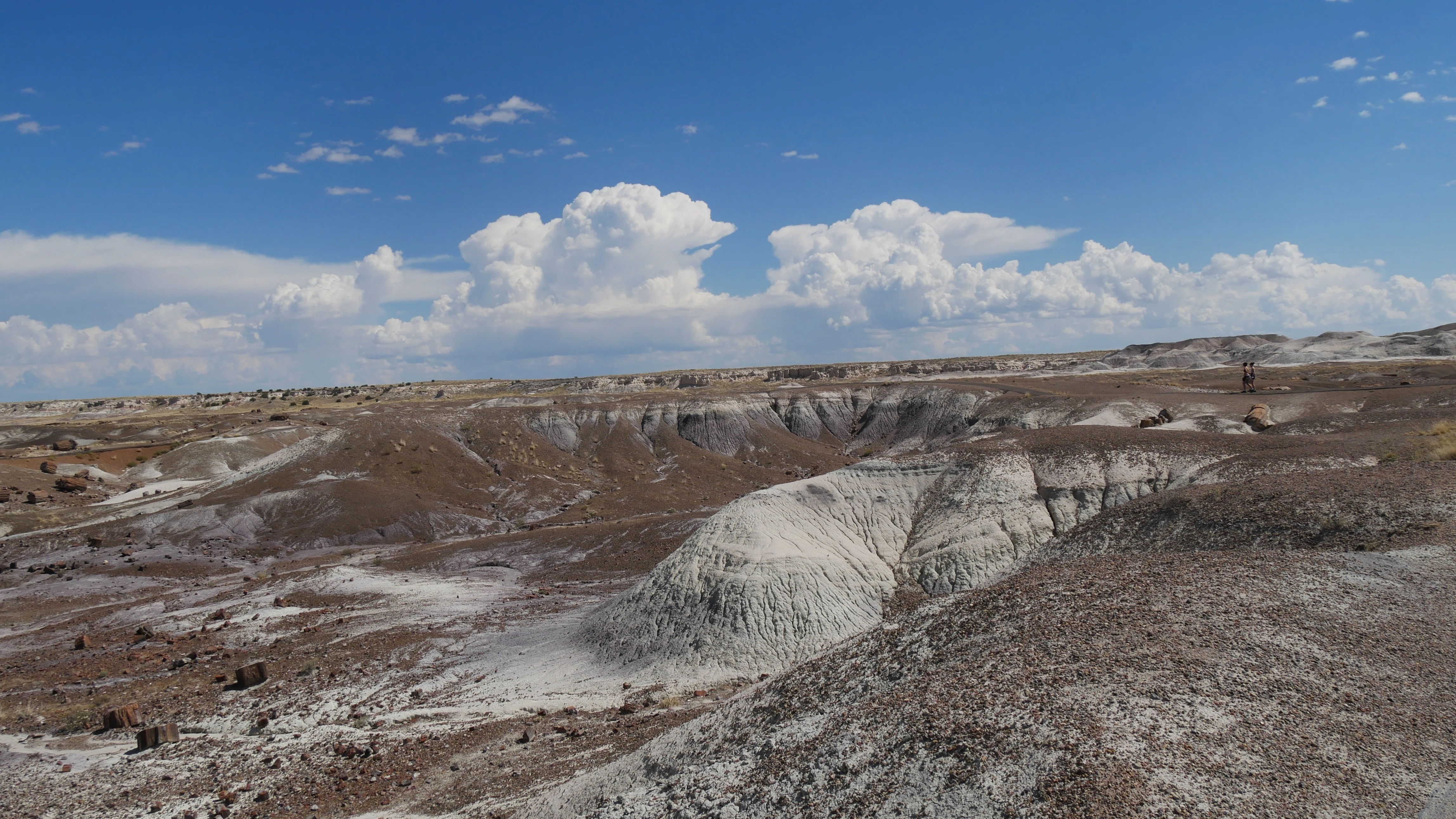 化石の森国立公園（Petrified Forest National Park） / アリゾナ vol