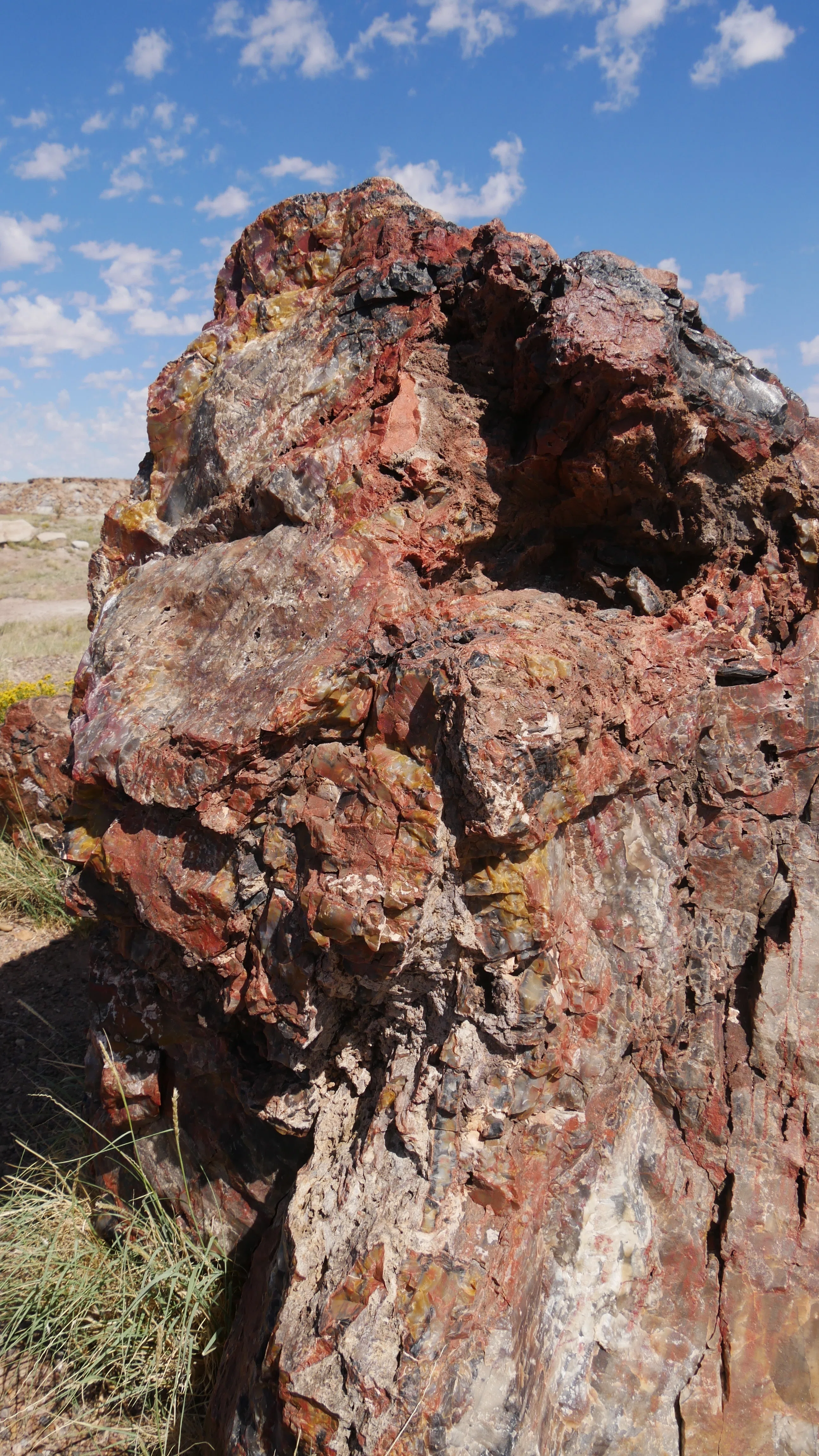 化石の森国立公園（Petrified Forest National Park） / アリゾナ vol