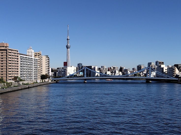 目に染みる青空　水辺は隅田川　東京の冬　きょうは小春日和